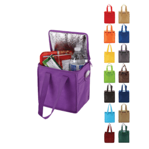 Insulated Lunch Tote Bag Group All Colors Non-Woven Bag Zipper Pockets