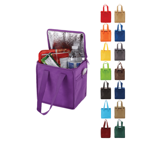 Insulated Lunch Tote Bag Group All Colors Non-Woven Bag Zipper Pockets