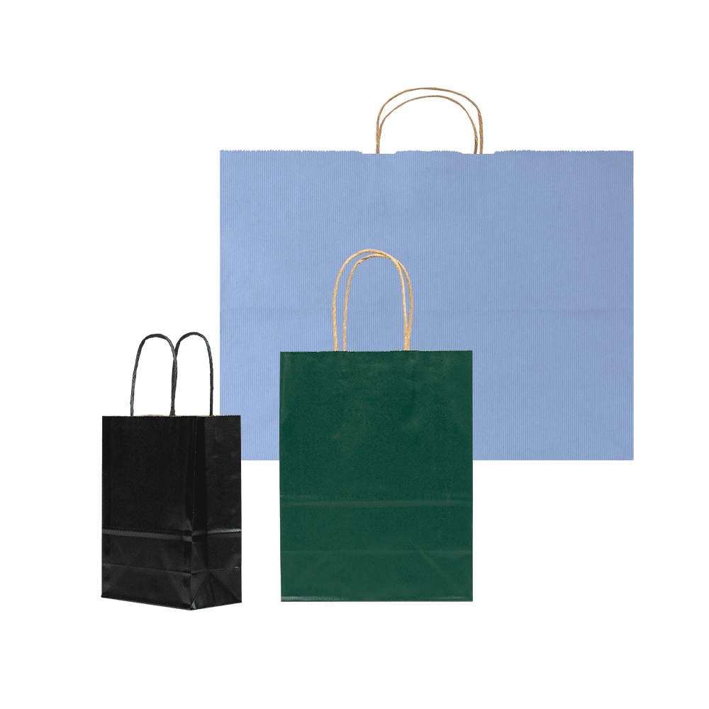 Colored Twisted Handle Bags