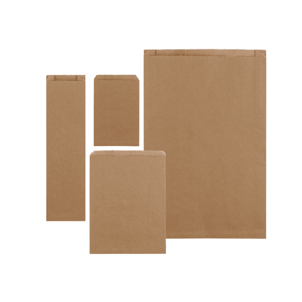 Paper Merchandise Bags