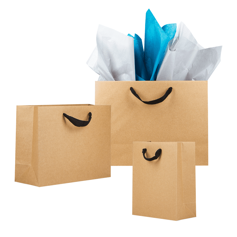 Ribbon Handle Natural Kraft Eurotote (NRE)
