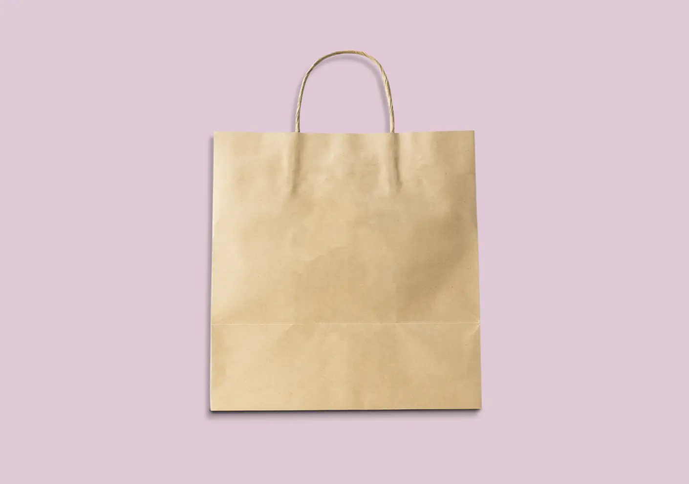 brown paper bag with handles